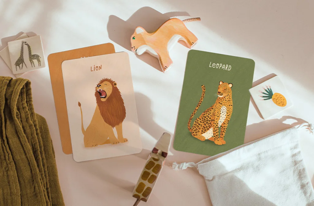 Teaching cards