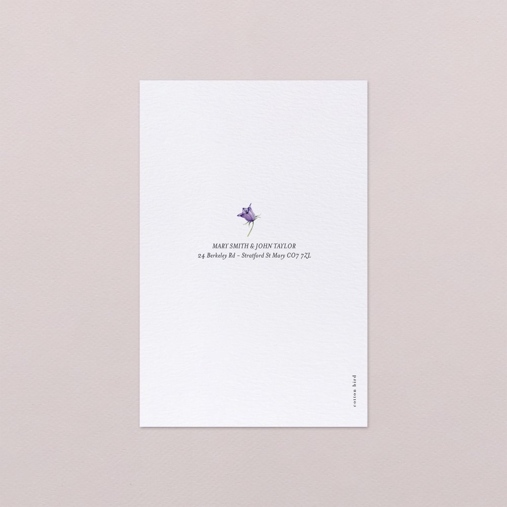 Violetta