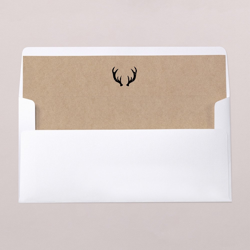 Envelope liners