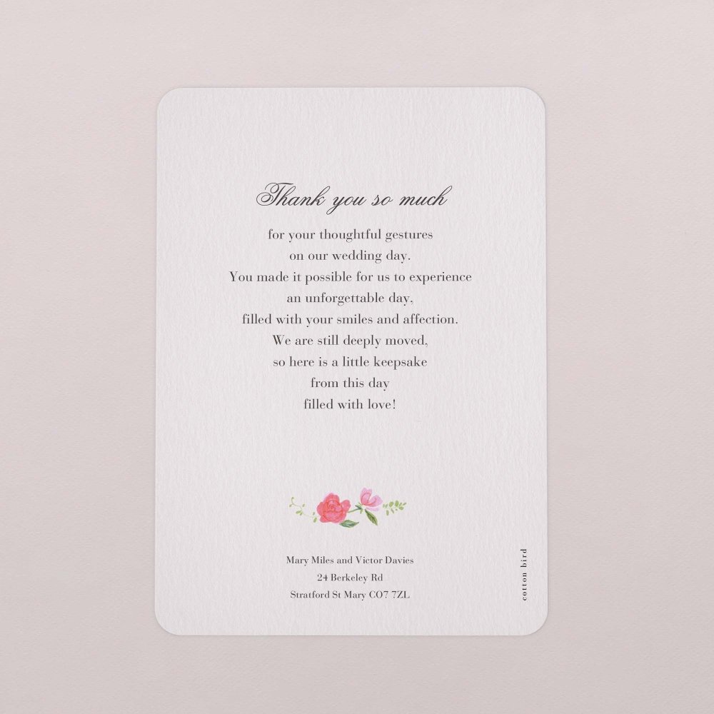 Sweet roses
