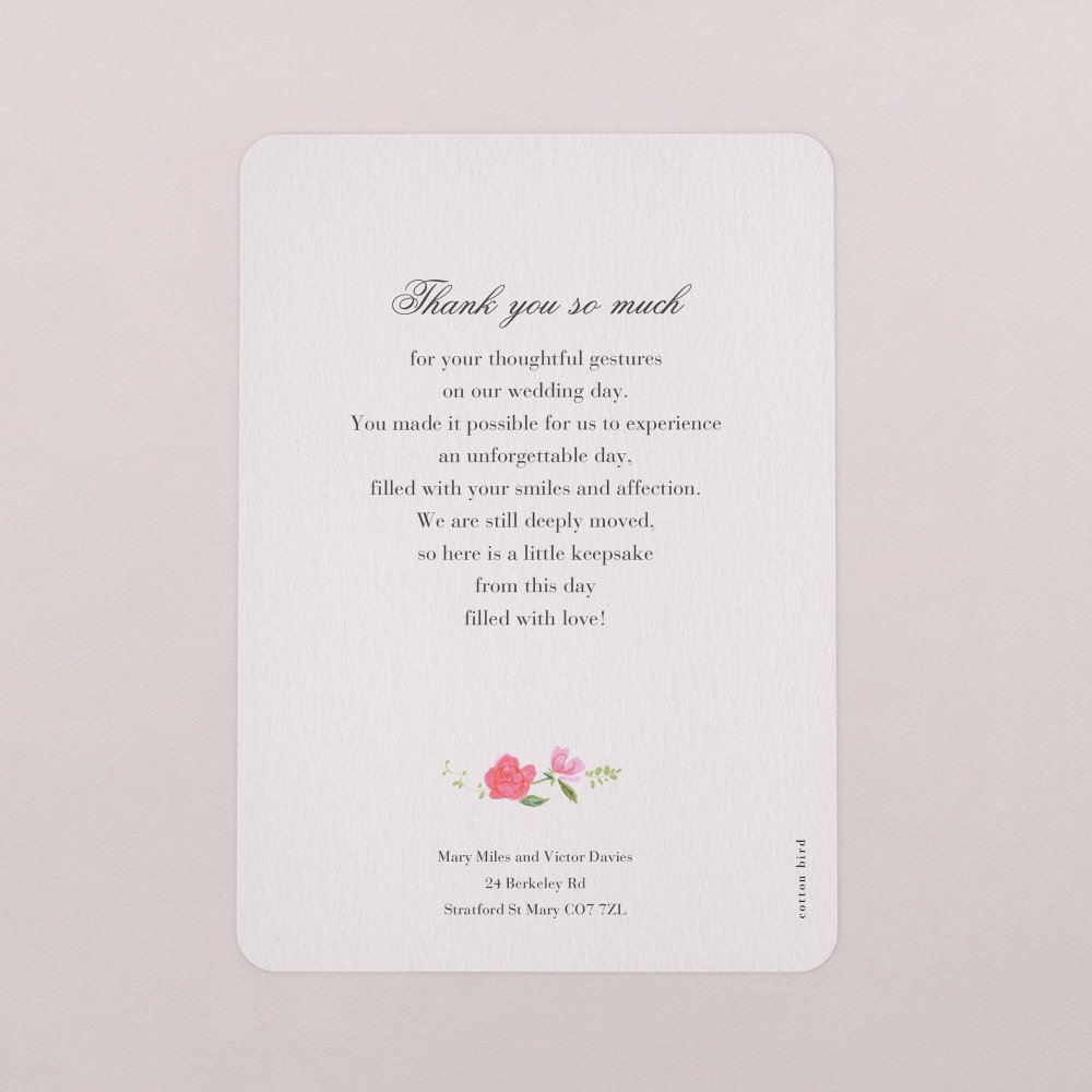 Sweet roses
