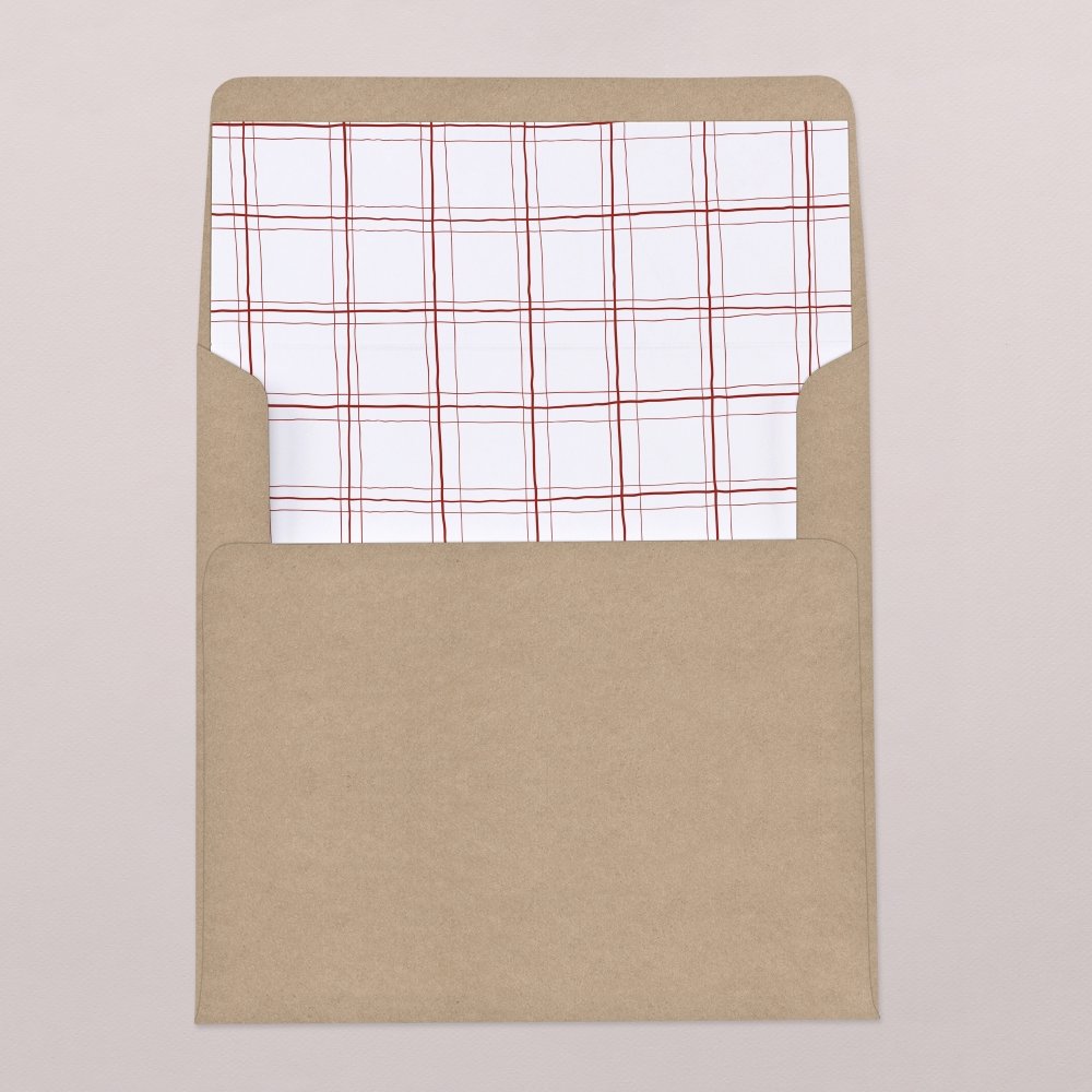 Envelope liner