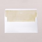 Envelope liners