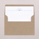 Envelope liners