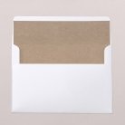 Envelope liners