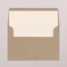 Envelope liners