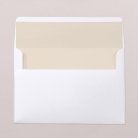 Envelope liners