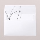 Envelope liners