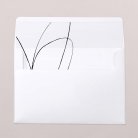 Envelope liners
