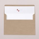 Envelope liners