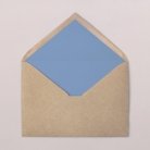 Envelope liners