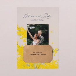 Mimosas