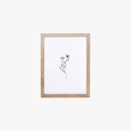 Herbarium White III