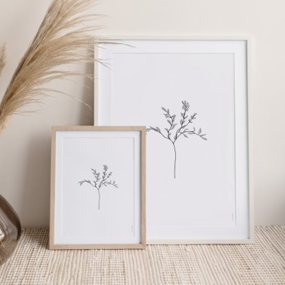 Herbarium White I