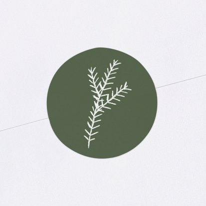 Insta - Pine
