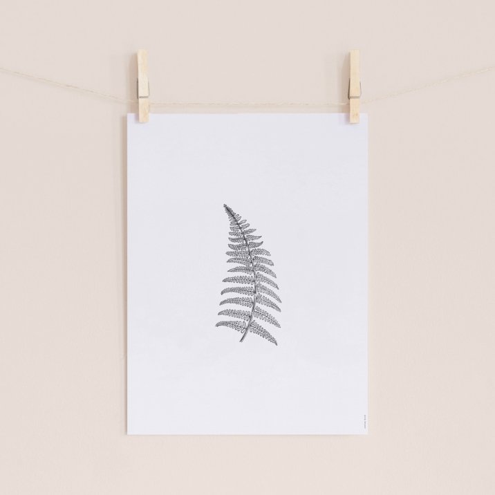 Herbarium White II