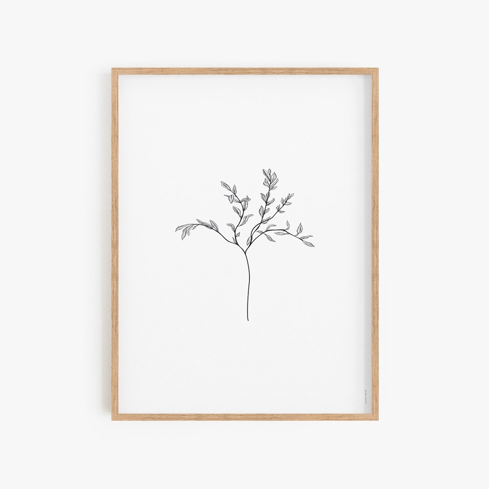 Herbarium White I